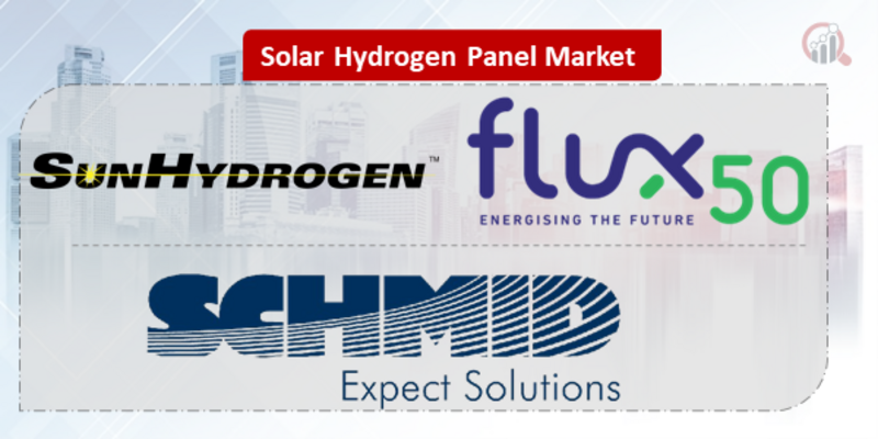 Solar Hydrogen Panel Key Company