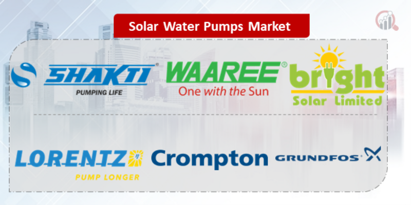 Solar Water Pumps Key Company