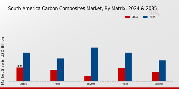 South America Carbon Composites Market Segment