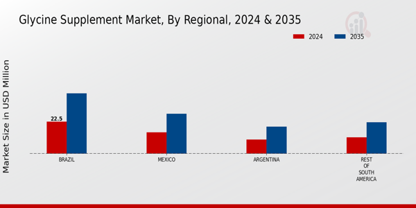 South America Glycine Supplement Market by region