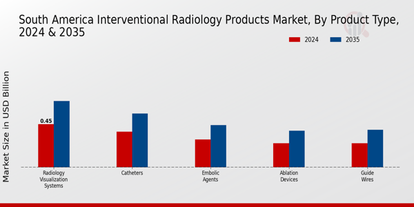 South America Interventional Radiology Products Market Segment