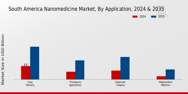 South America Nanomedicine Market Segment