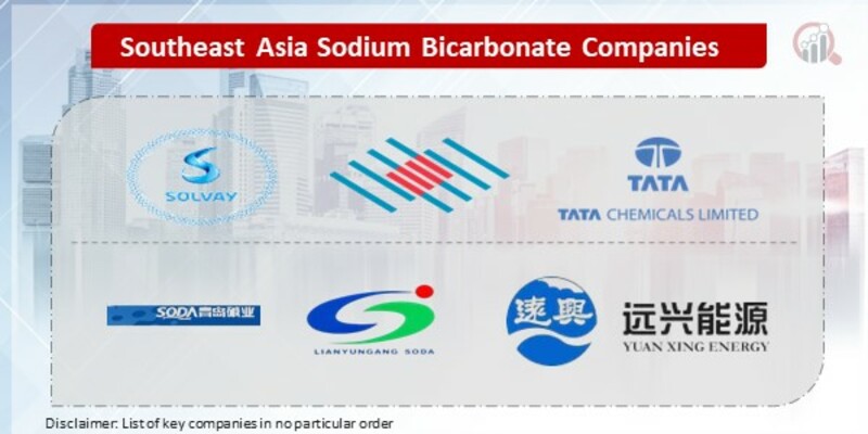 Southeast Asia Sodium Bicarbonate Key Companies
