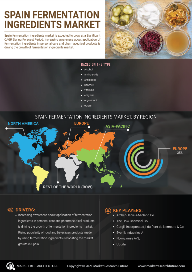 Spain Fermentation Ingredients Market