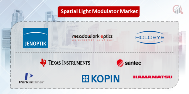 Spatial Light Modulator Companies