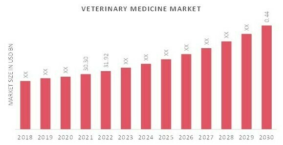 Spinal Needles Market Overview