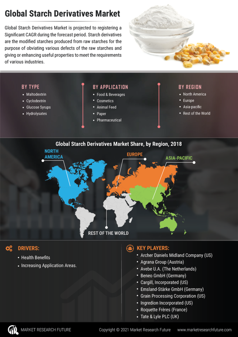 Starch Derivatives Market 