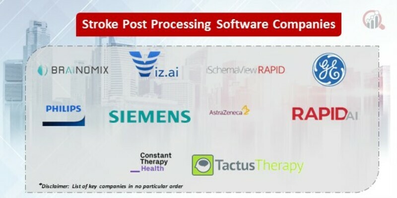 Stroke Post Processing Software Key Companies