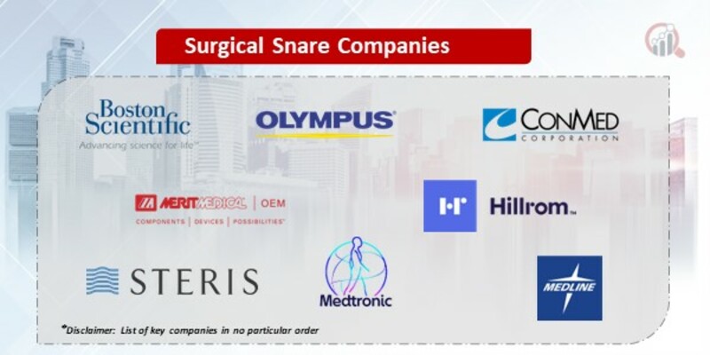 Surgical Snare Key Companies