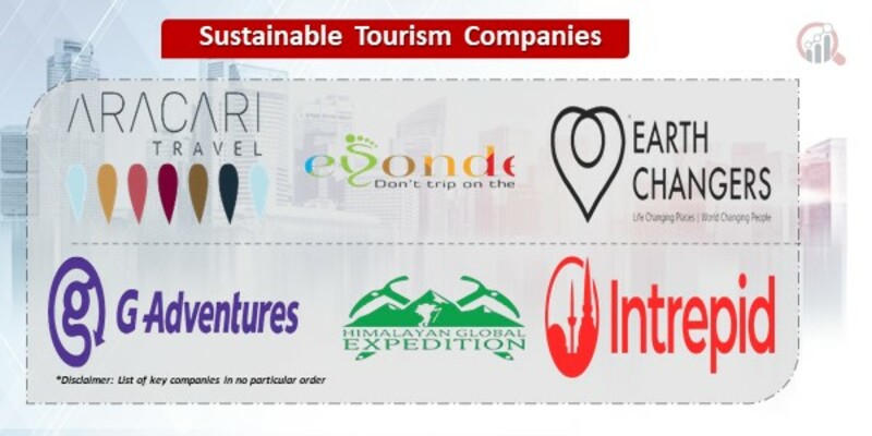 Sustainable Tourism Companies.jpg