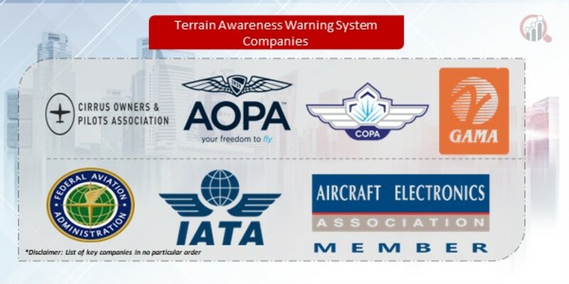 Terrain Awareness Warning System Companies