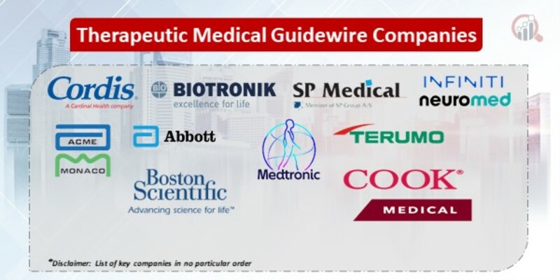 Therapeutic Medical Guidewire Key Companies.jpg