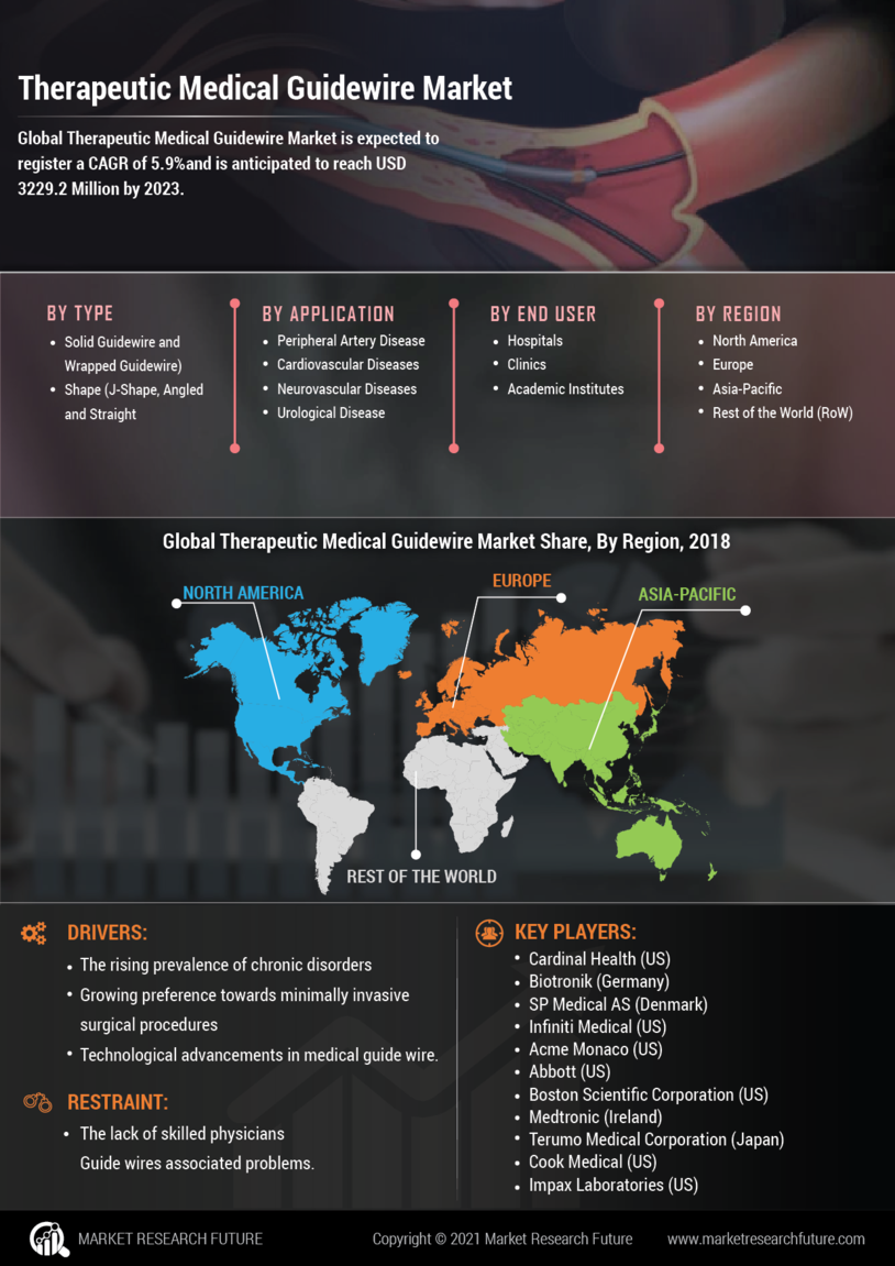 Therapeutic Medical Guide Wire Market