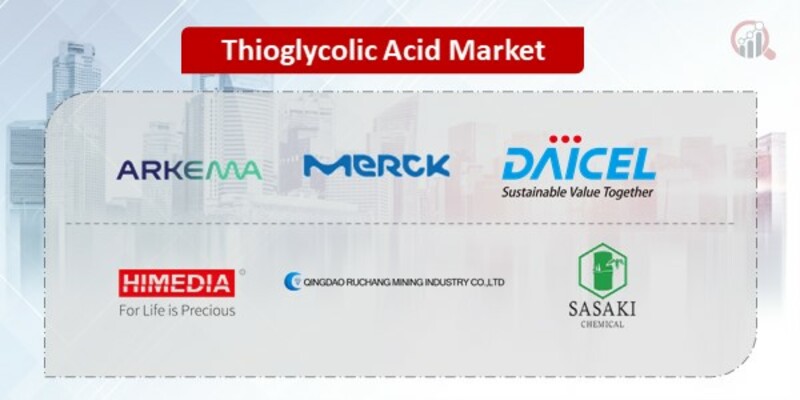 Thioglycolic Acid Key Companies 
