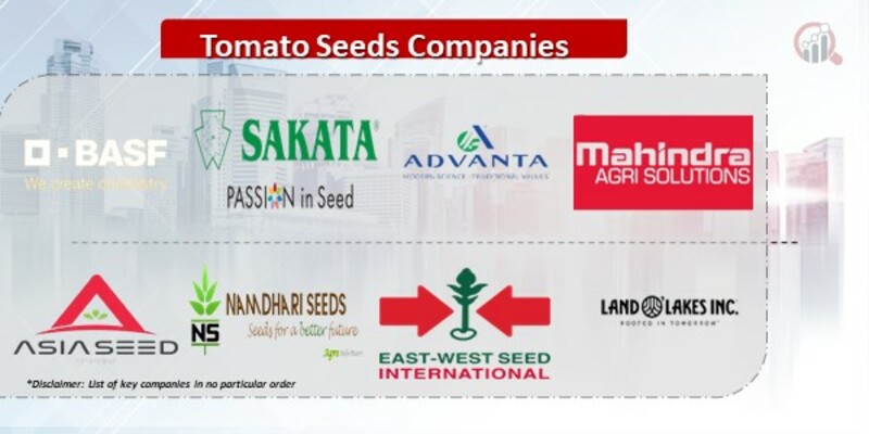 Tomato Seeds 