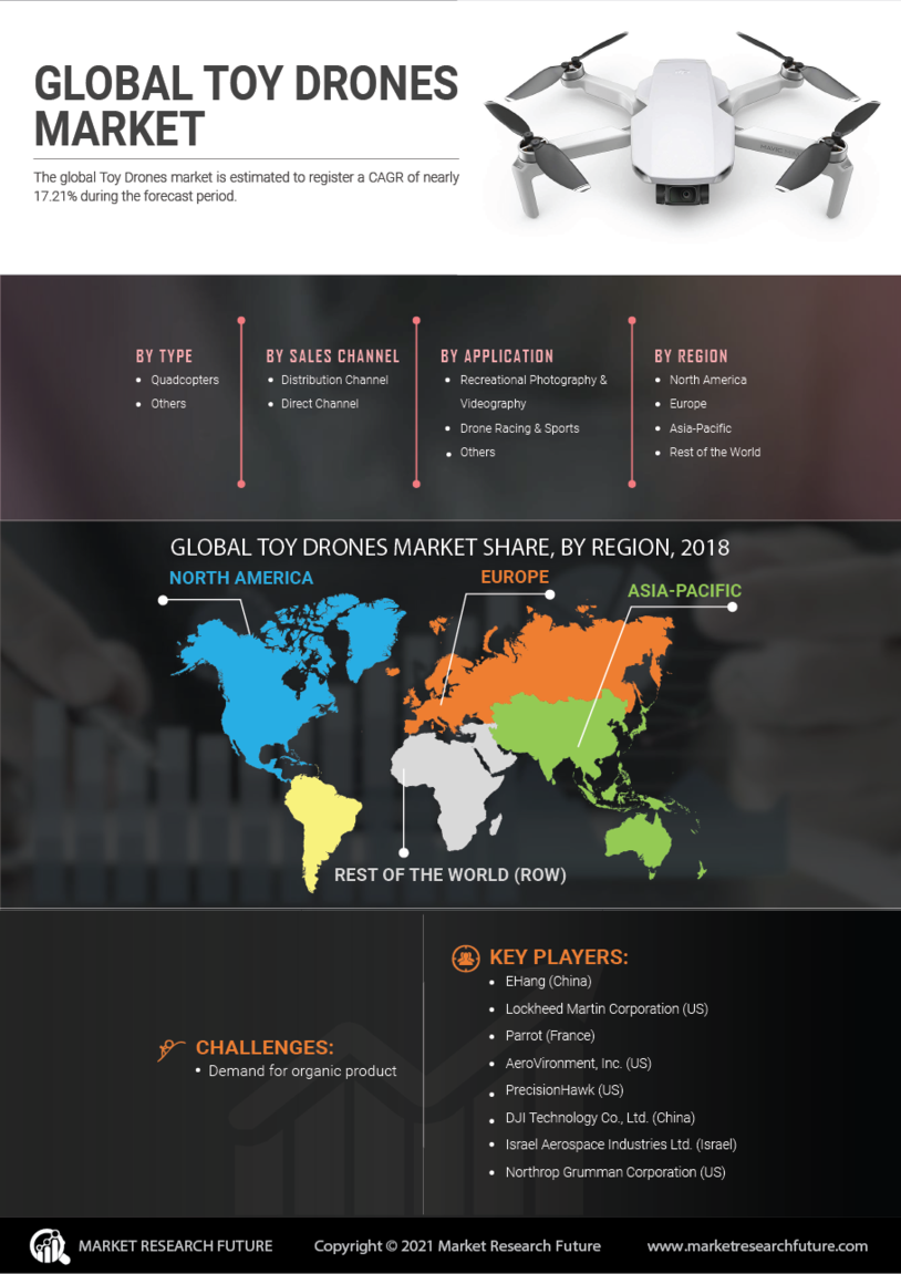 Toy Drones Market