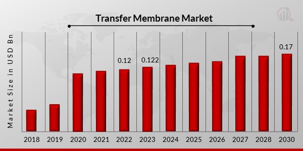 Transfer Membrane Market Overview