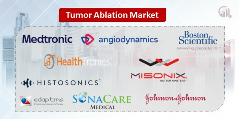 Tumor Ablation Key Companies