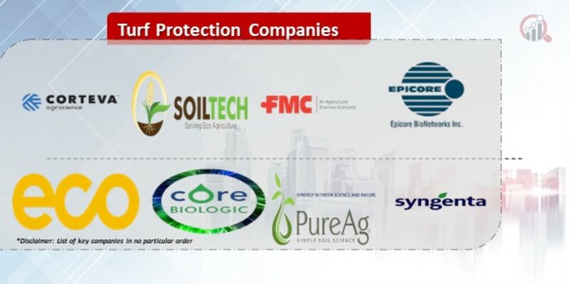 Turf Protection Companies.jpg