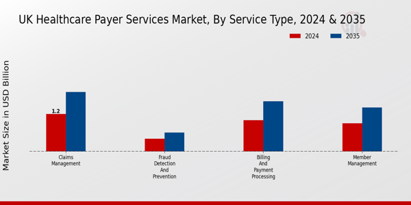 UK Healthcare Payer Services Market Segment