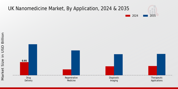 UK Nanomedicine Market Segment