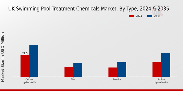 UK Swimming Pool Treatment Chemicals Market Segment Insights