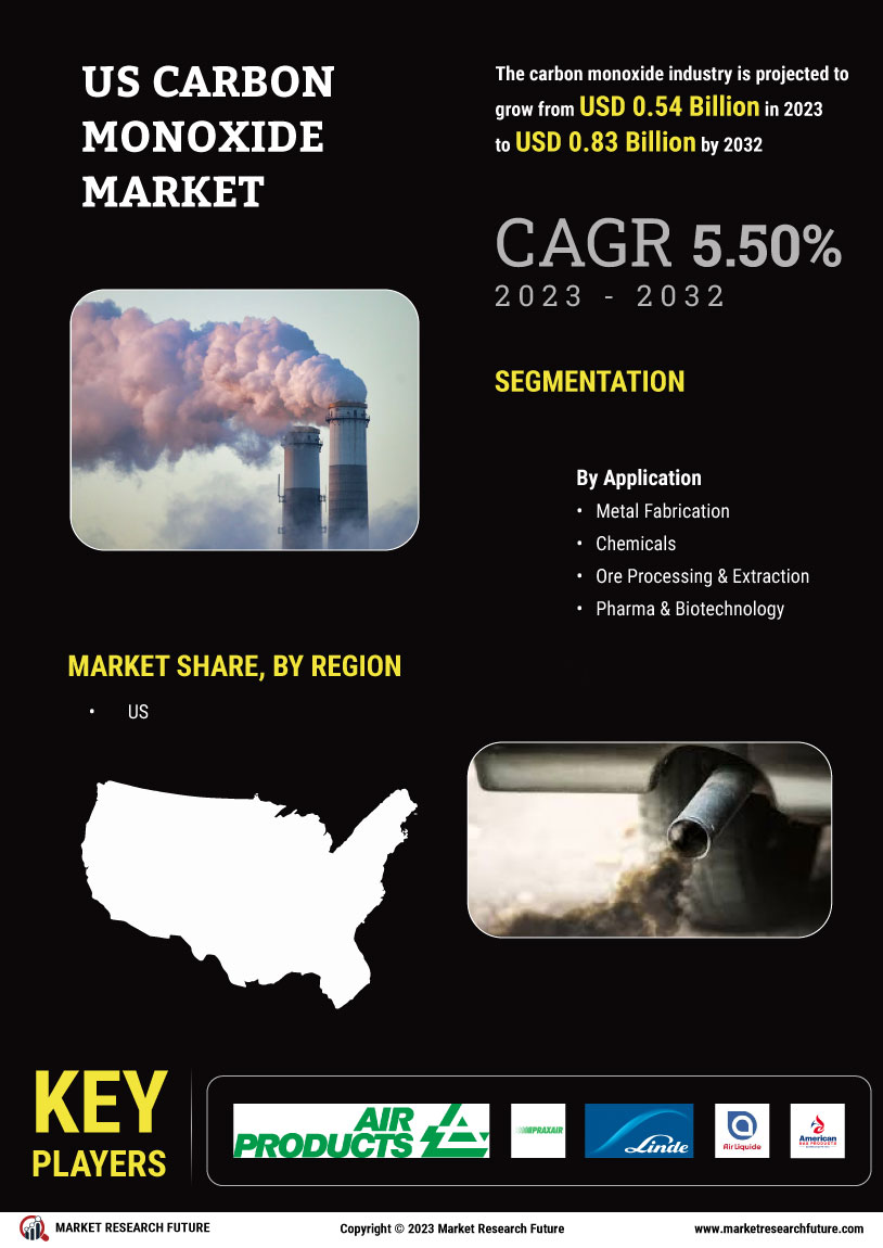 US Carbon Monoxide Market 
