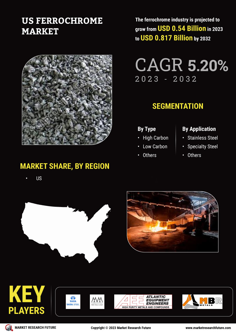 US Ferrochrome Market 
