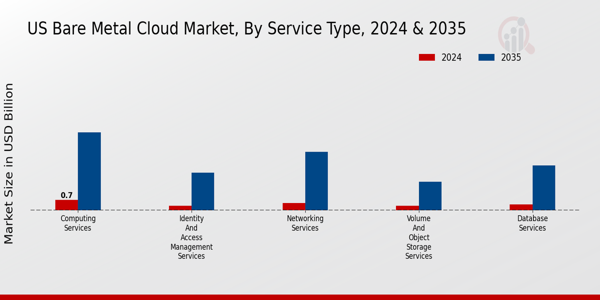 Bare Metal Cloud Market Service Type Insights