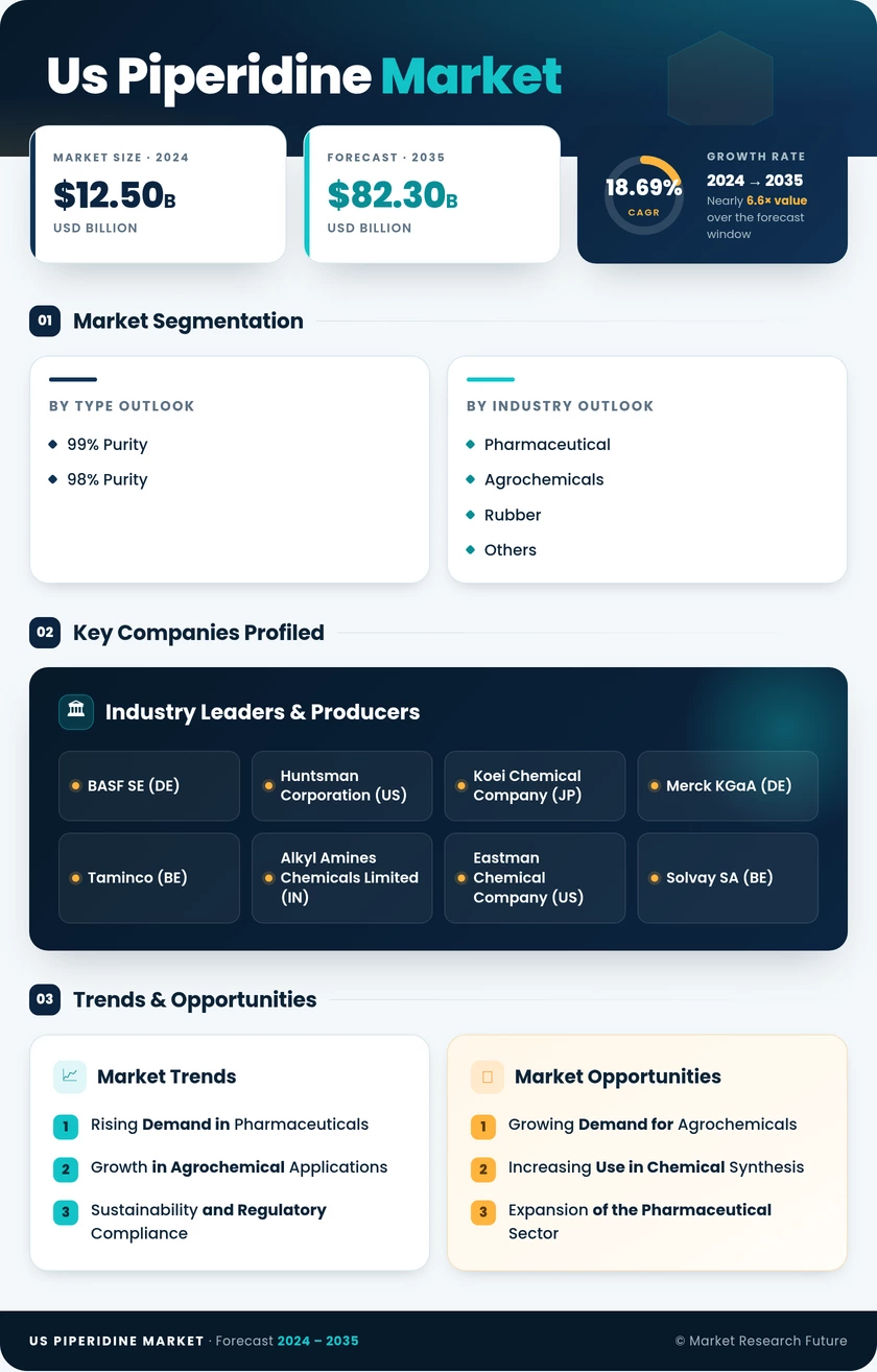 US Piperidine Market Research Report - Forecast Report 2035 Infographic
