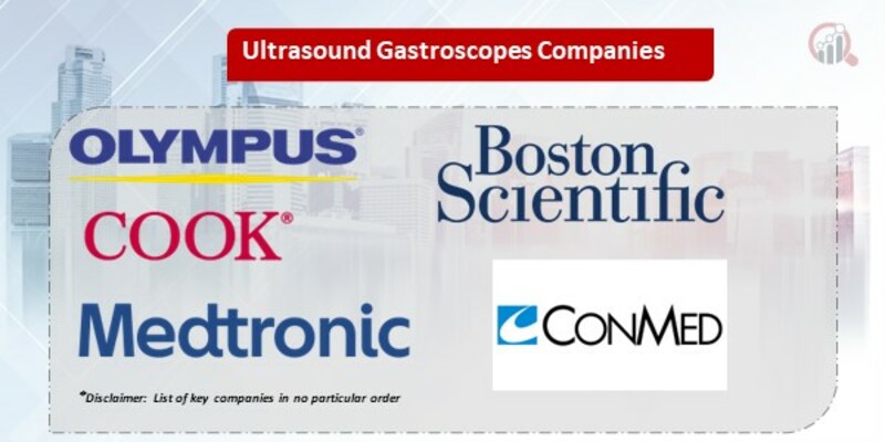 Ultrasound Gastroscopes Market 