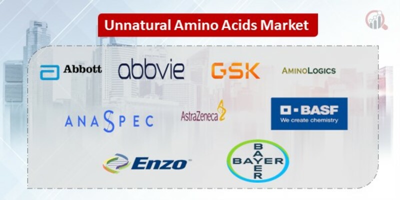 Unnatural Amino Acids Key Companies