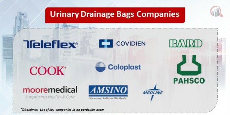 Urinary Drainage Bags Key Companies