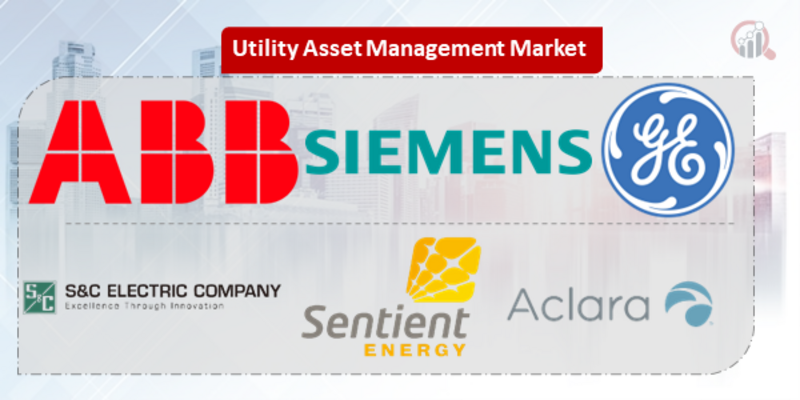 Utility Asset Management Key Company