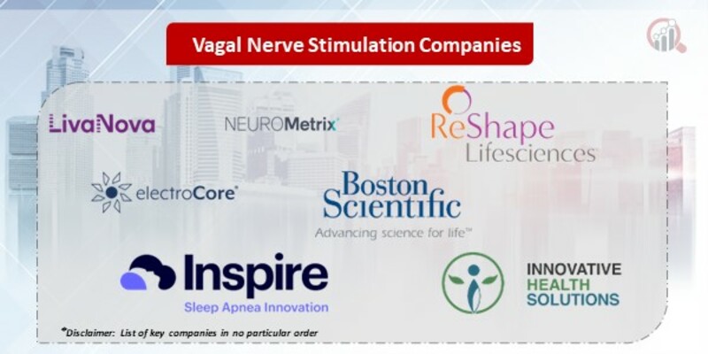 Vagal Nerve Stimulation Key Companies