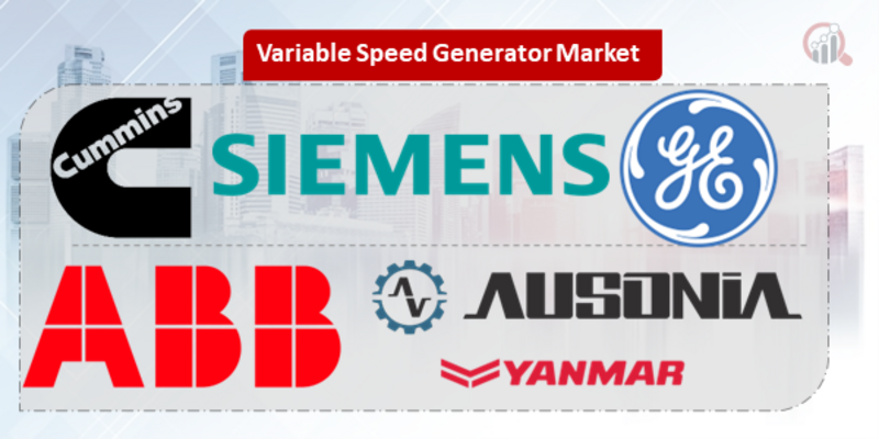 Variable Speed Generator Key Company