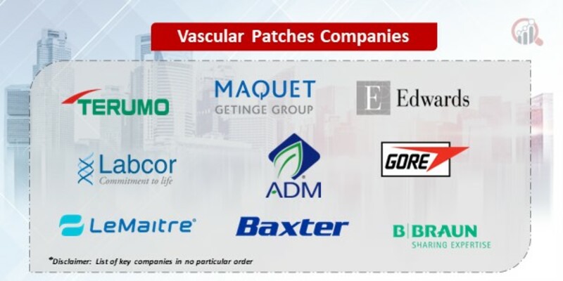 Vascular Patches Key Companies