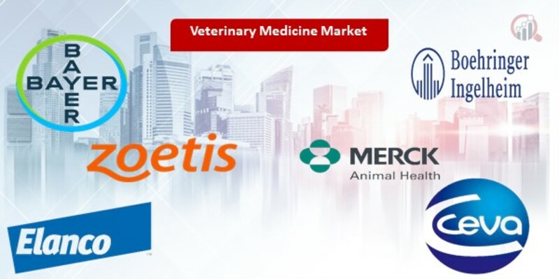 Veterinary medicine Key Companies