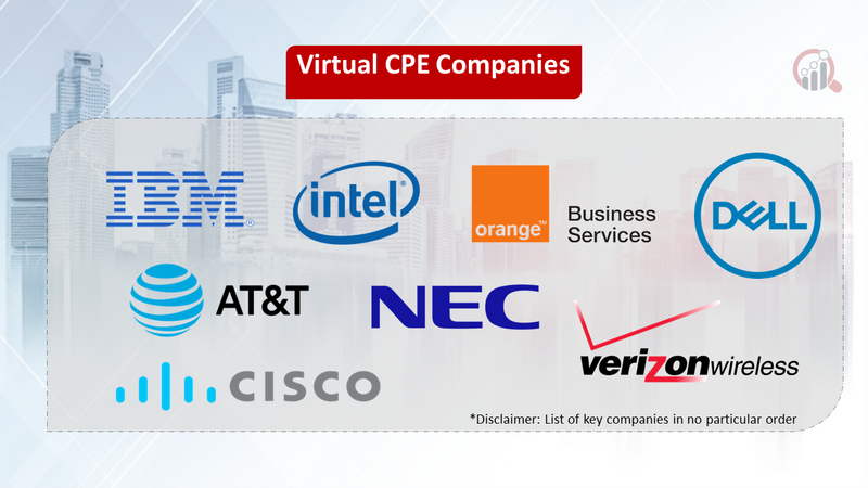 Virtual CPE companies