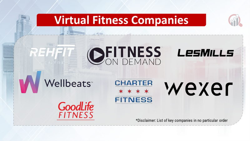 Virtual Fitness Companies