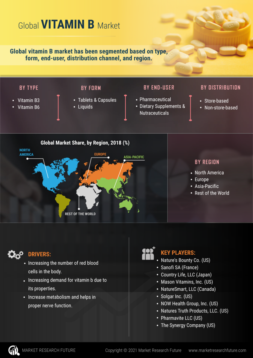 Vitamin B Market