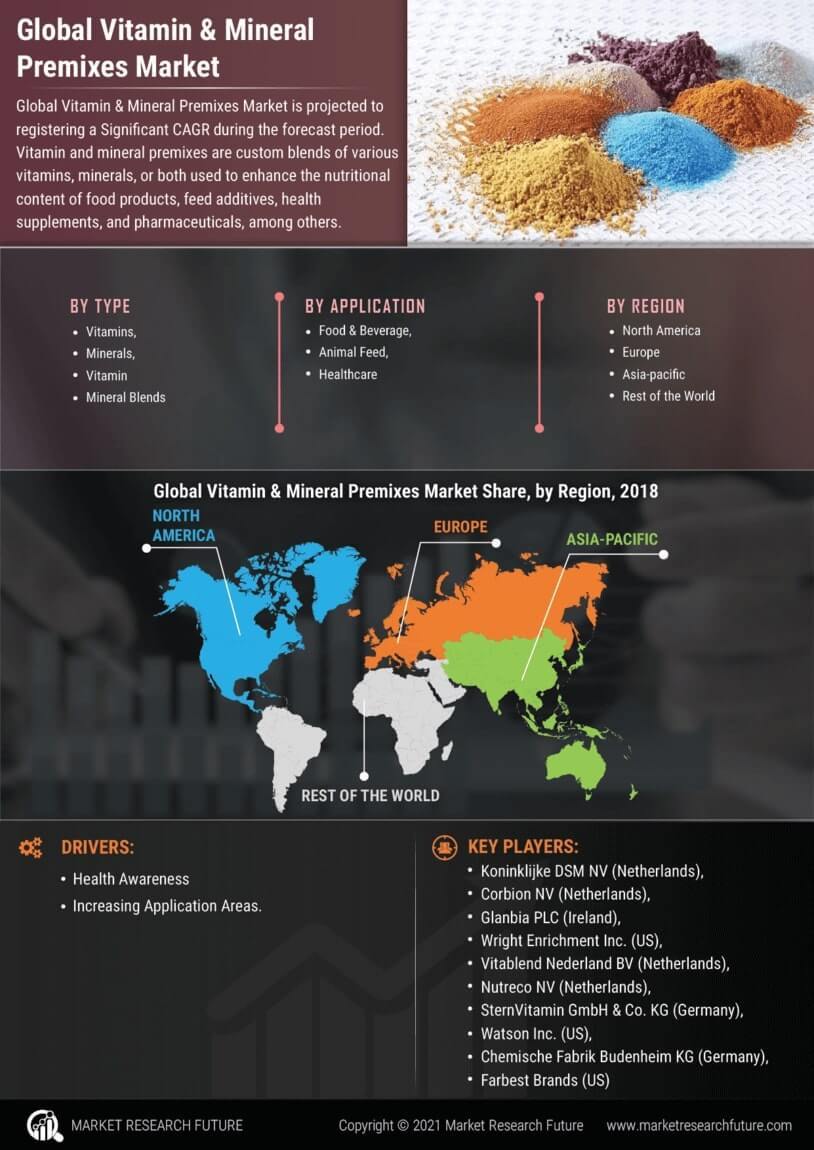 Vitamin and Mineral Premixes Market