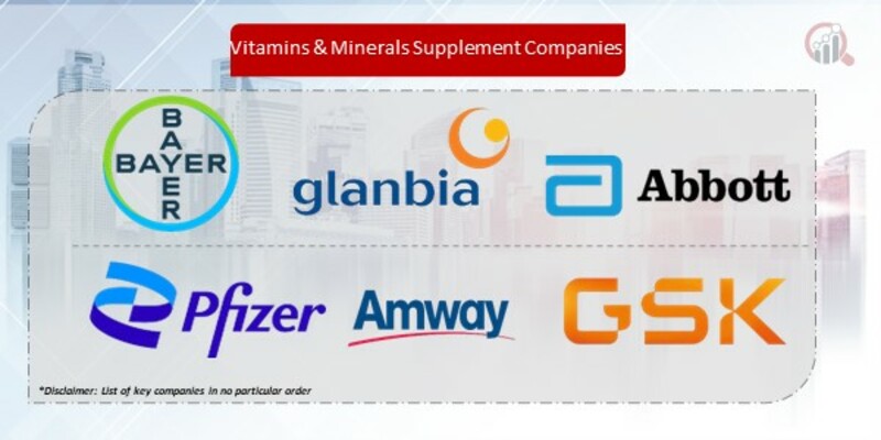 Vitamins & Minerals Supplement Companies