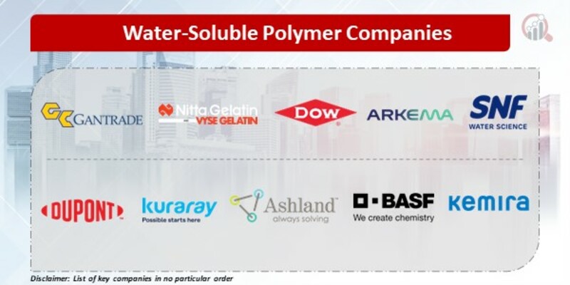 Water-Soluble Polymer Key Companies