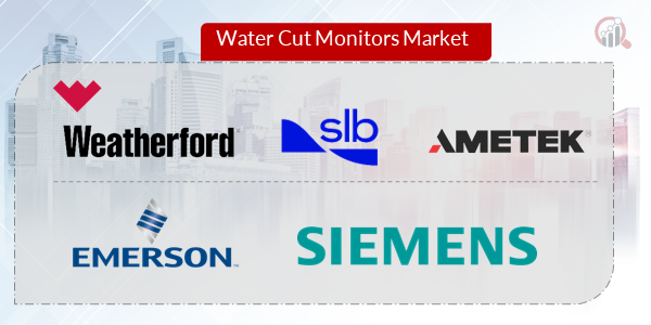 Water Cut Monitors Key Company