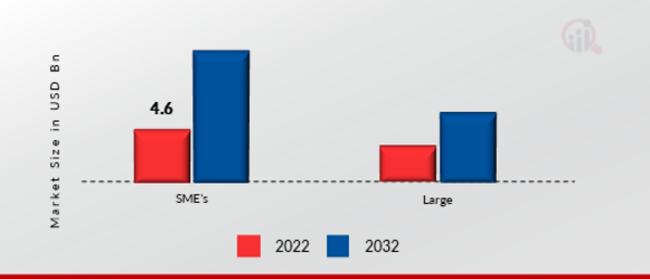 Web Content Management Software Market, by Organization Size, 2022 & 2032