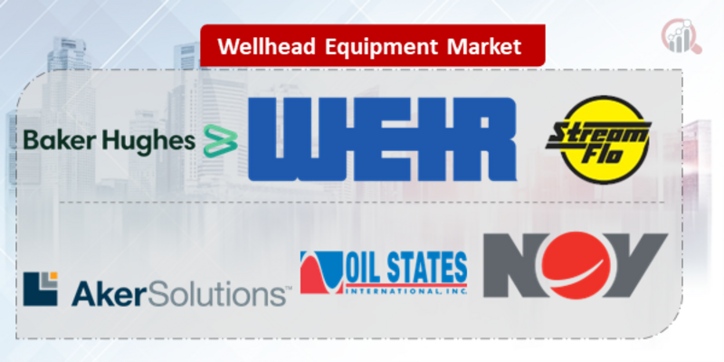 Wellhead Equipment Key Company