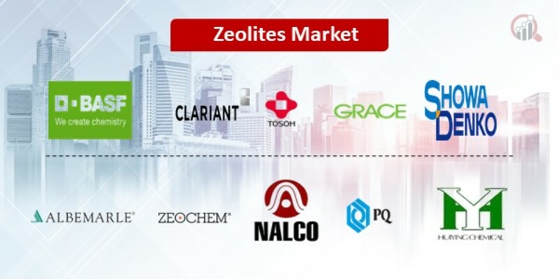 Zeolites Key Companies