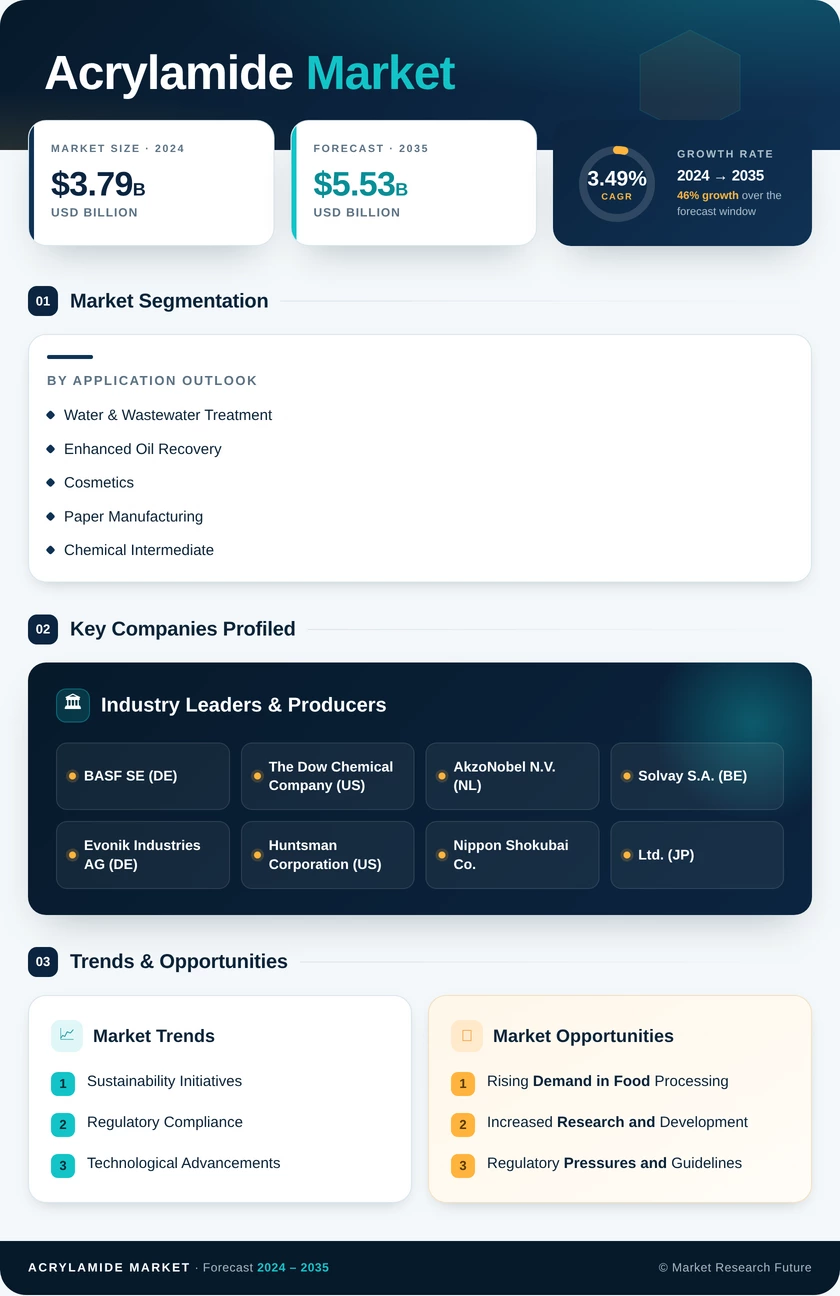 Acrylamide Market Research Report - Forecast till 2035 Infographic