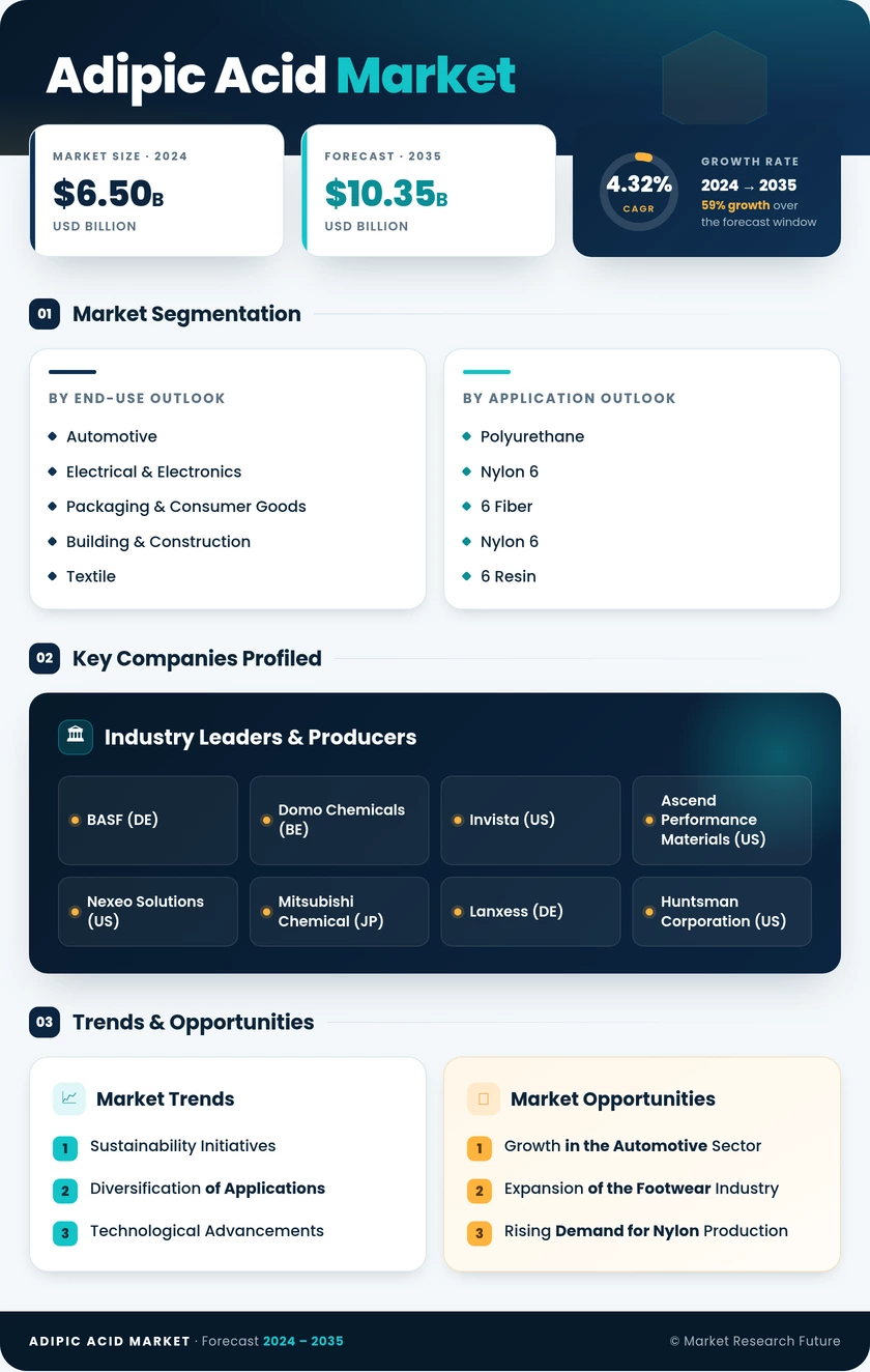 Adipic Acid Market Research Report- Forecast till 2035 Infographic